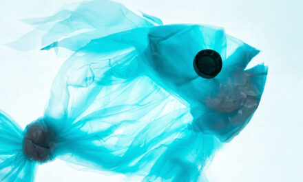 The plastic COP out – resistance to change will mean mutually ensured environmental destruction