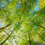 How can sustainable manufacturing reduce costs and improve efficiency?