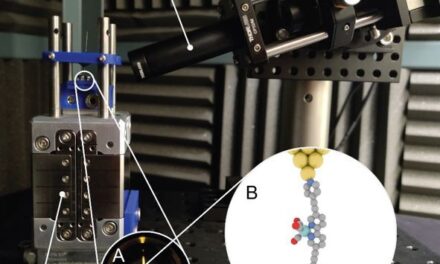 The power of stillness