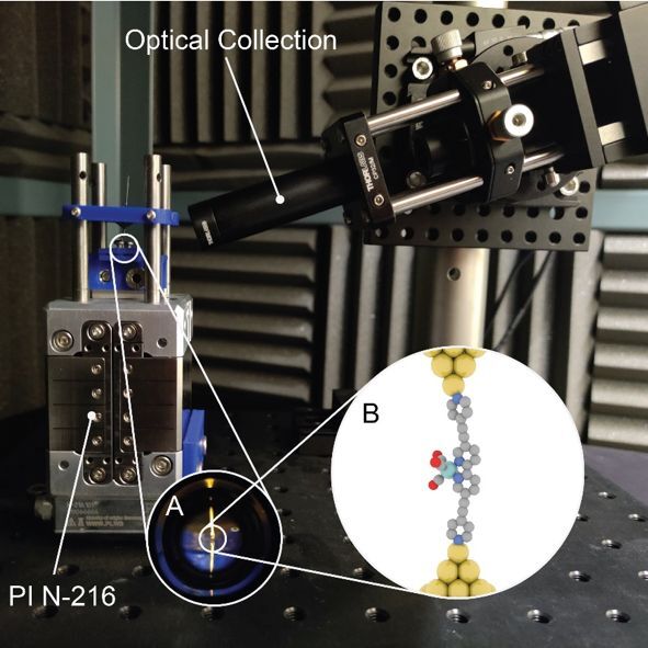 The power of stillness